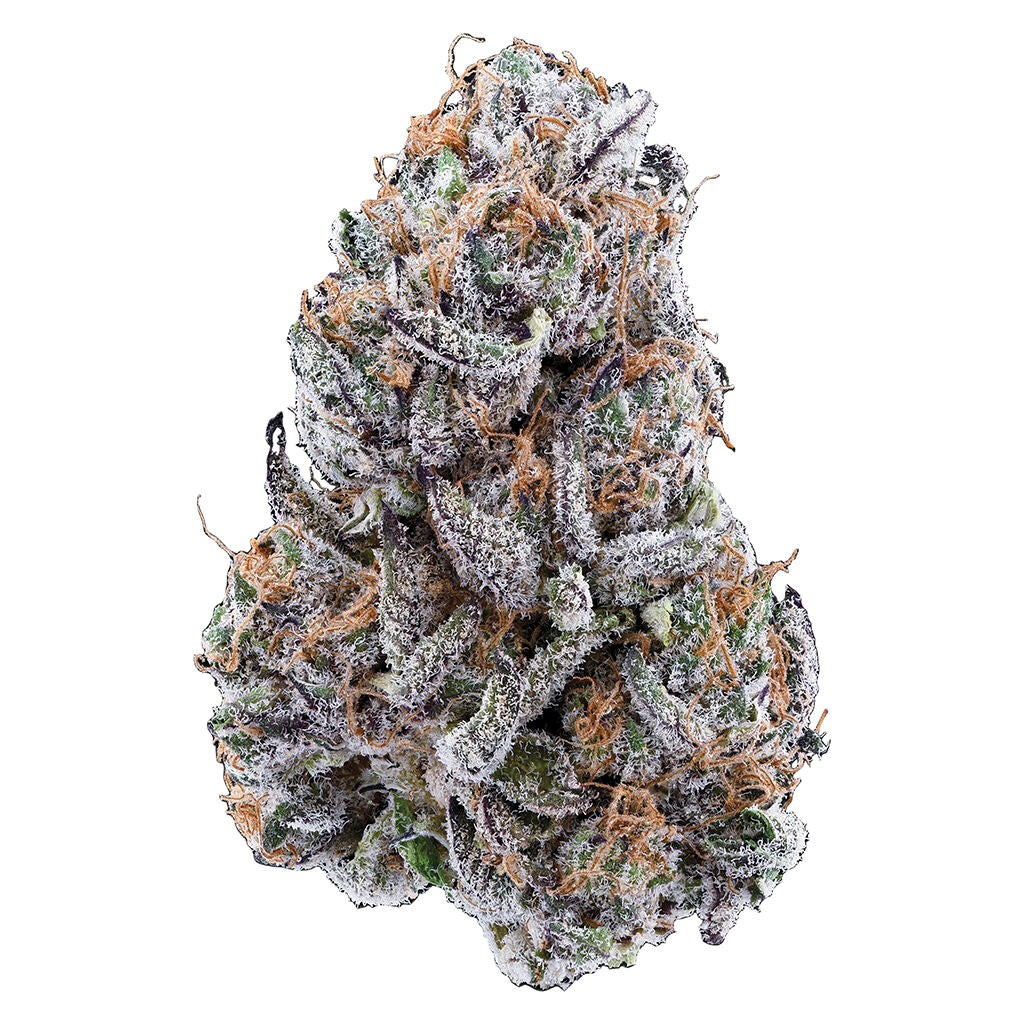 TRIBAL TERPLE (H) DRIED - 28G