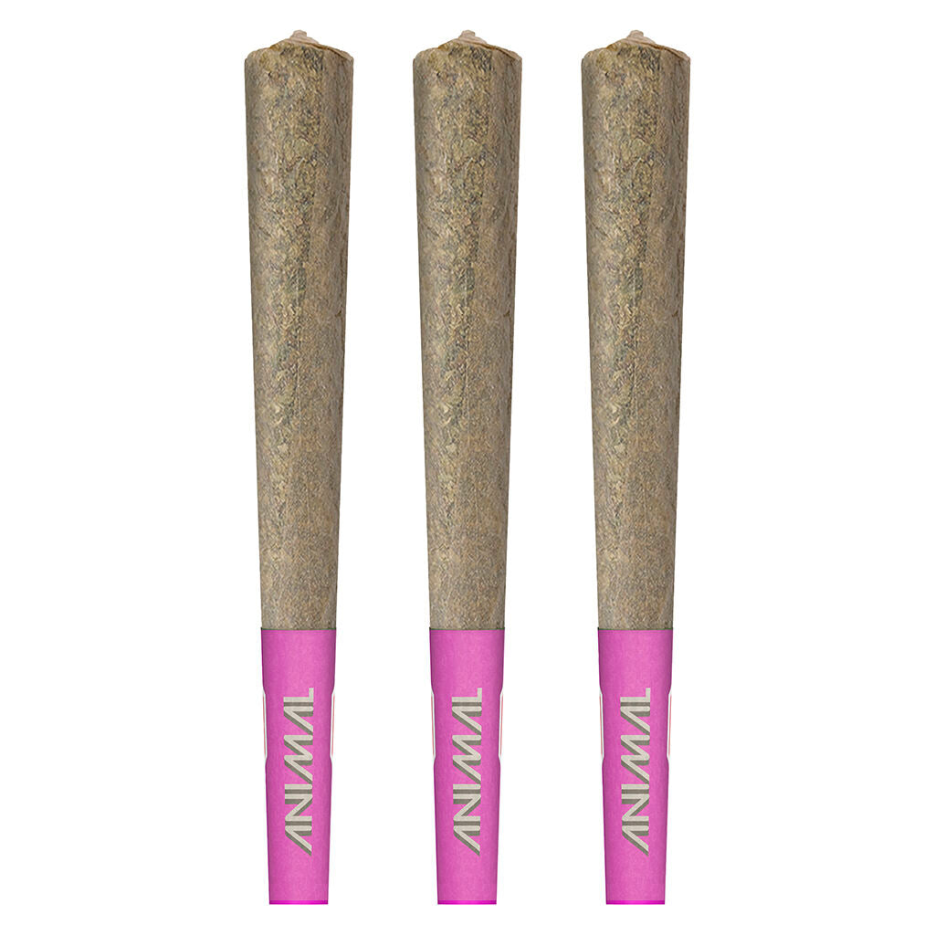 ANIMAL HIGH POTENCY 50 PLUS (H) INF PRE-ROLL - 0.5G X 3