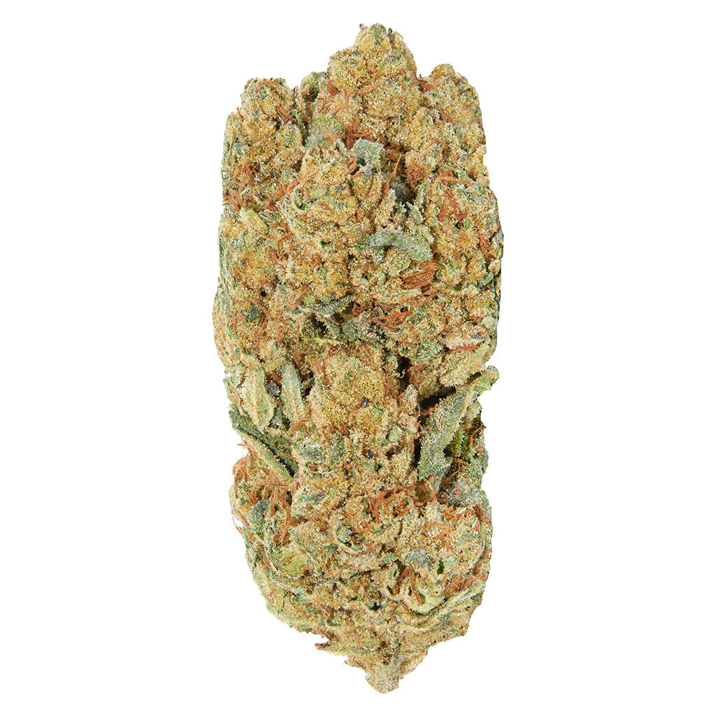 REDECAN FROSTED ANIMAL CAKE (S) DRIED - 14G