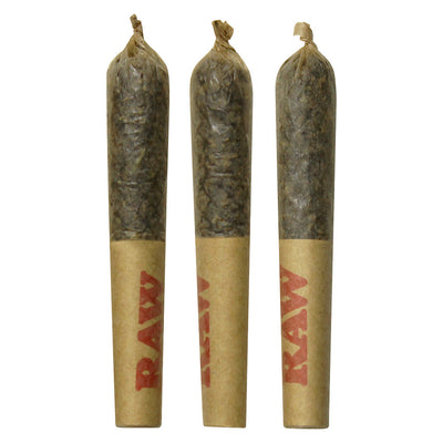 DAB BODS WIDOWS BLOOD DISTI JOINT (H) INF PRE-ROLL - 0.5GX3