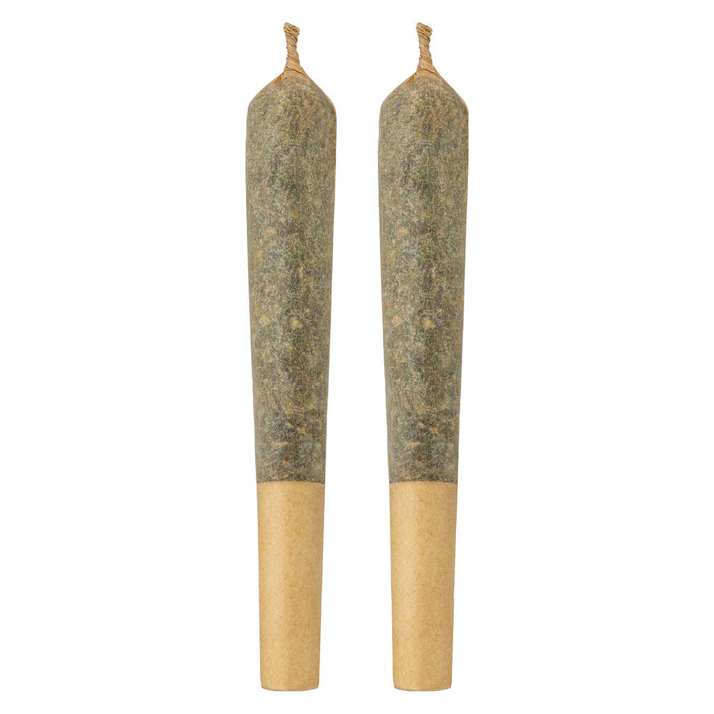OTHER PEOPLES POT BUDTENDERS HORNY TERP (H) PRE-ROLL 0.5GX2