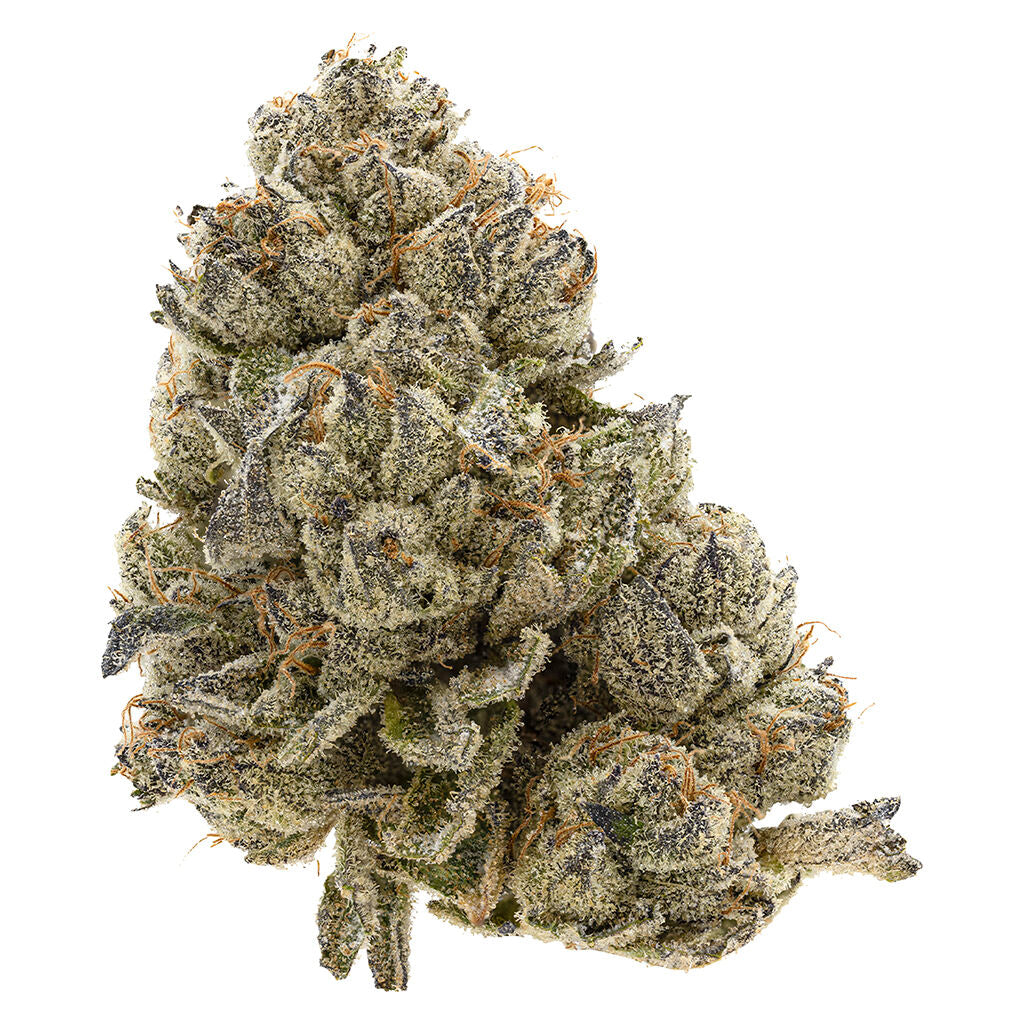 TRIBAL DRIP STATION (IND) DRIED - 28G