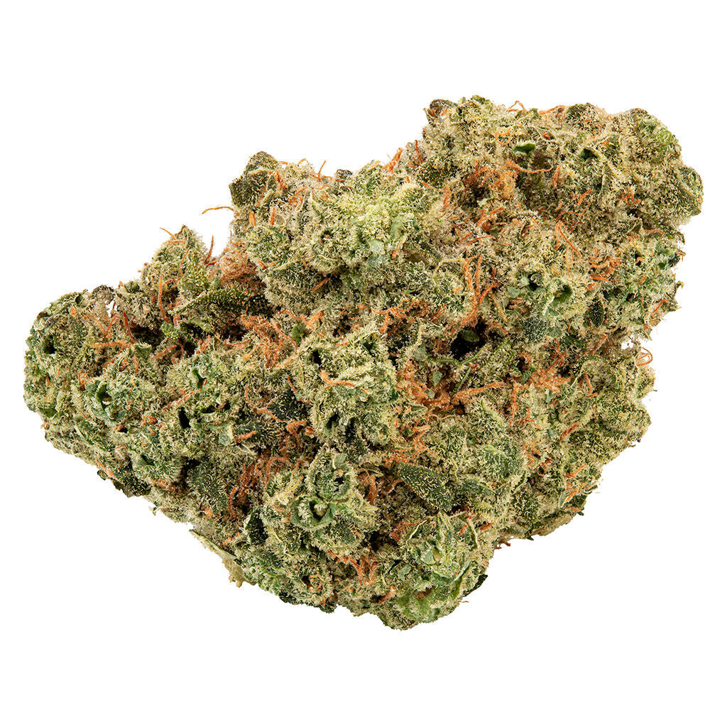 TRAILBLAZER LEMONADE HAZE (S) DRIED - 7G