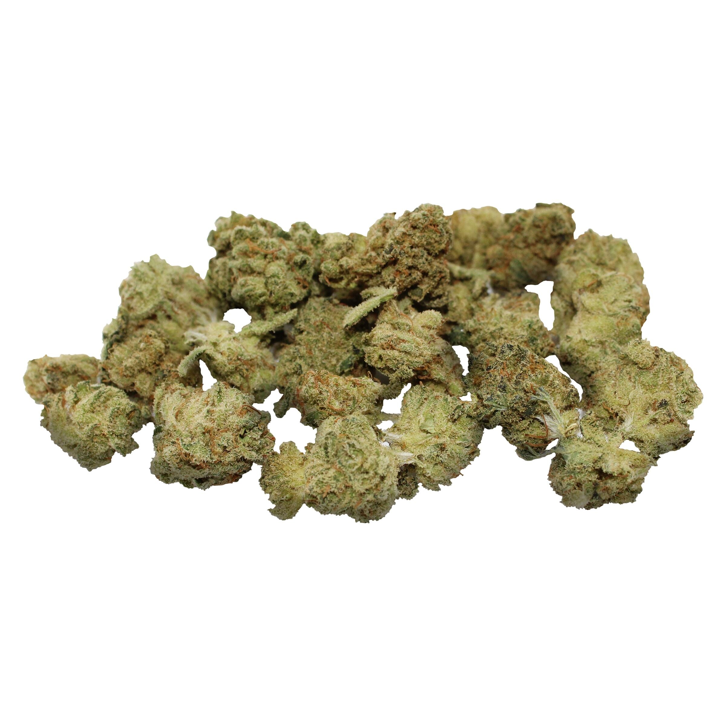 PROMENADE BUDDIES (H) DRIED - 7G