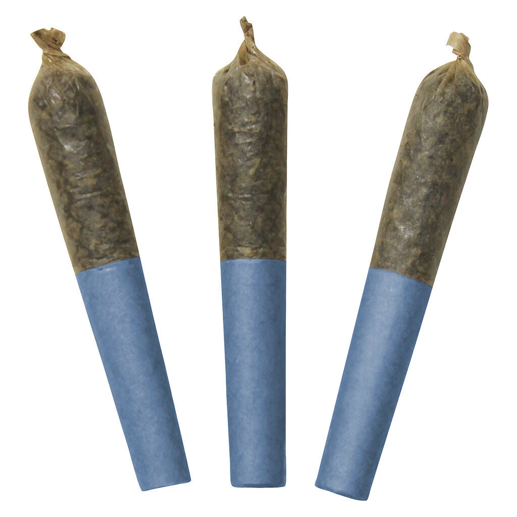 DAB BODS BLUE LOBSTER 60S DBL (H) INF PRE-ROLL - 0.5G X 3