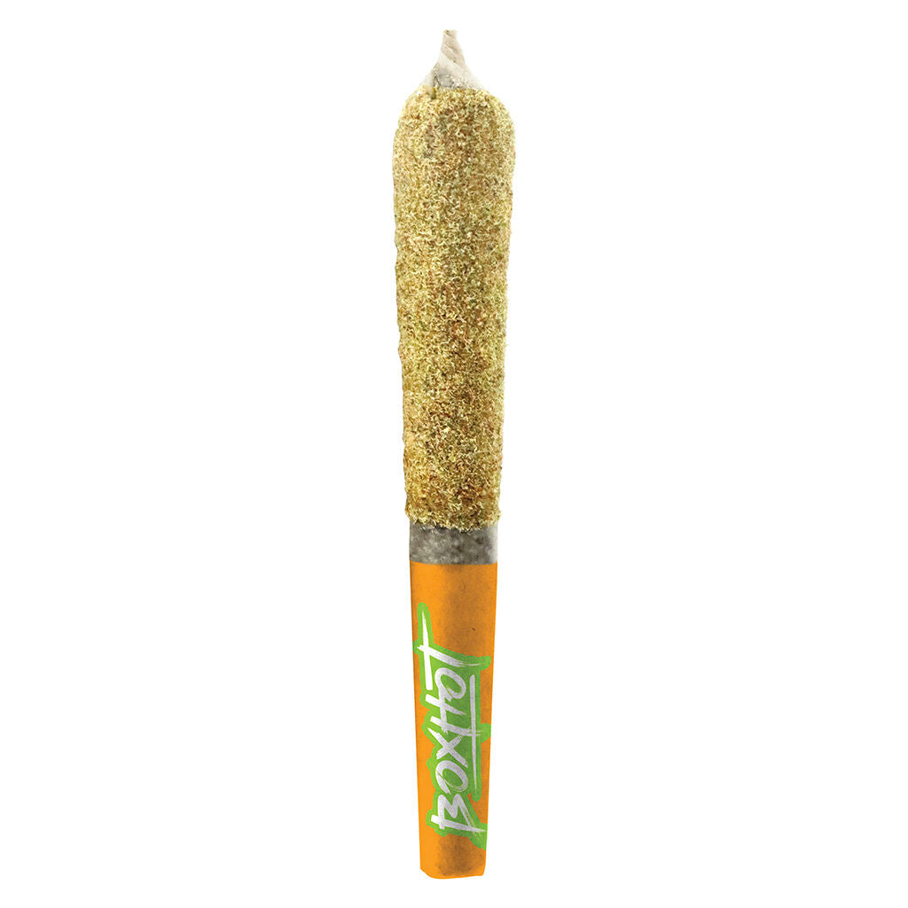 BOXHOT DUSTIES RETRO ORANGE BLAST (H) INF PRE-ROLL - 0.5G X3