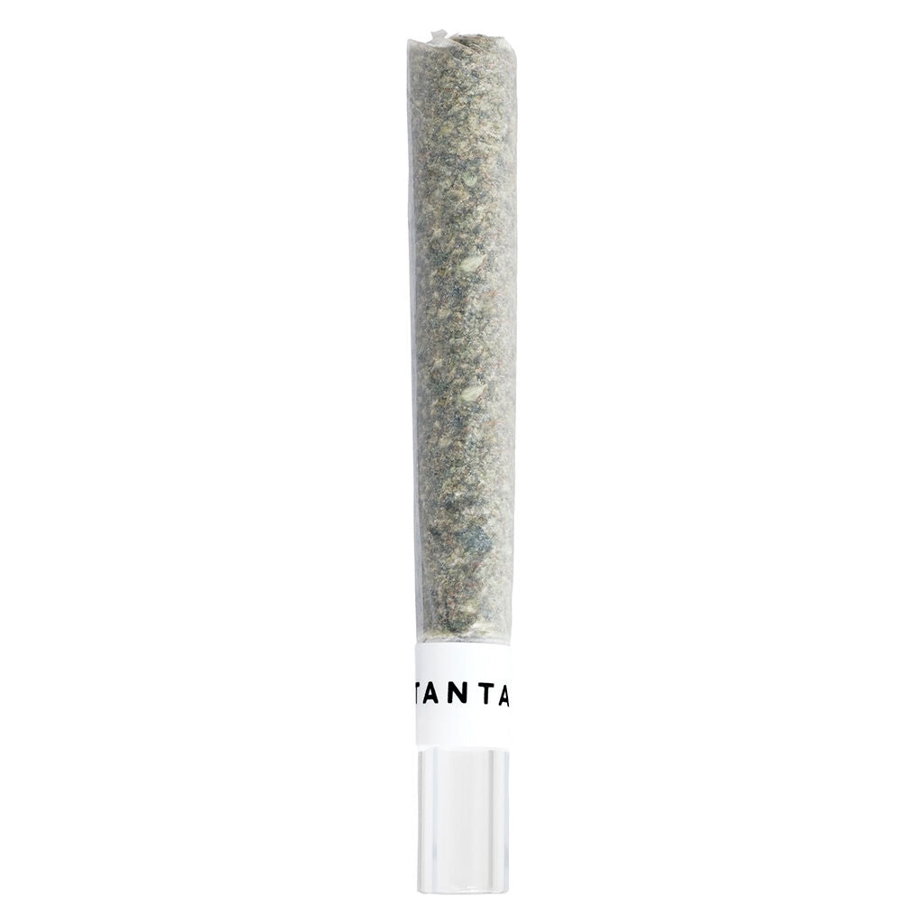 TANTALUS LABS MAITAIXZEROGRVITY GLASSTIP (S) PRE-ROLL - 1GX1