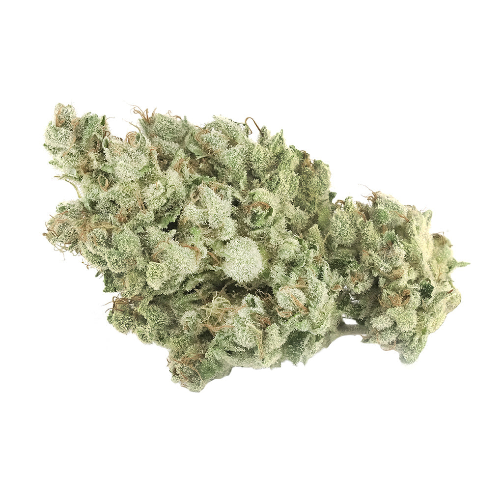 TANTALUS LABS COASTAL SAGE (S) DRIED - 3.5G