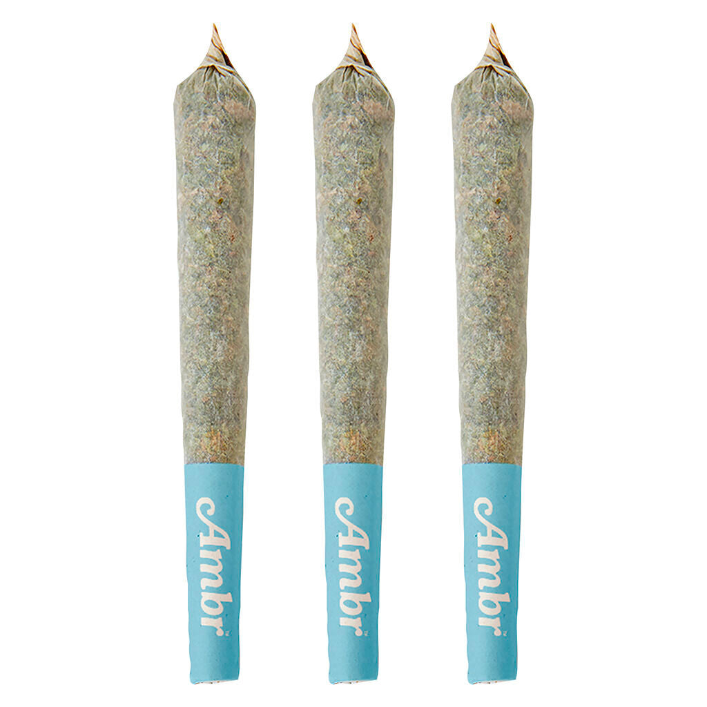 AMBR GLTO (H) INF PRE-ROLL - 0.5G X 3