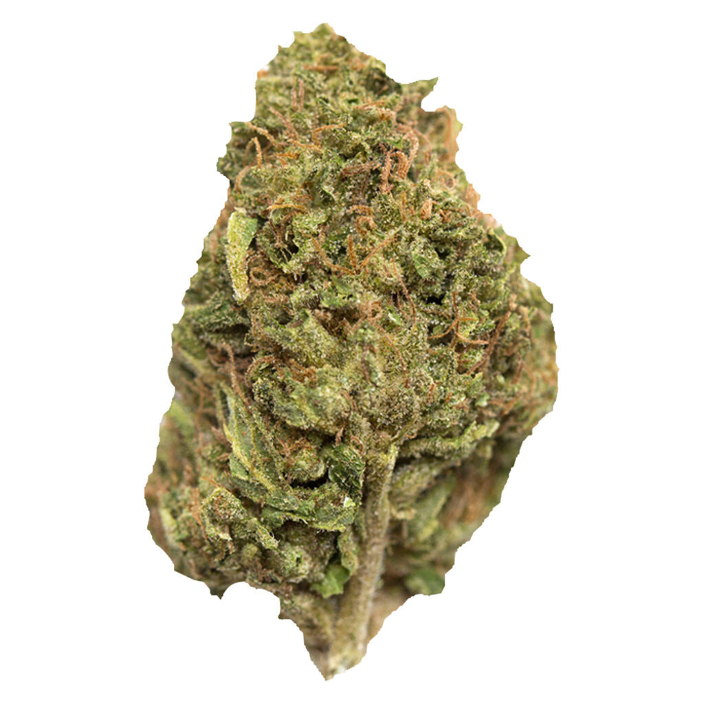 AMBR RAINBOW SNOWCONE (H) DRIED - 7G