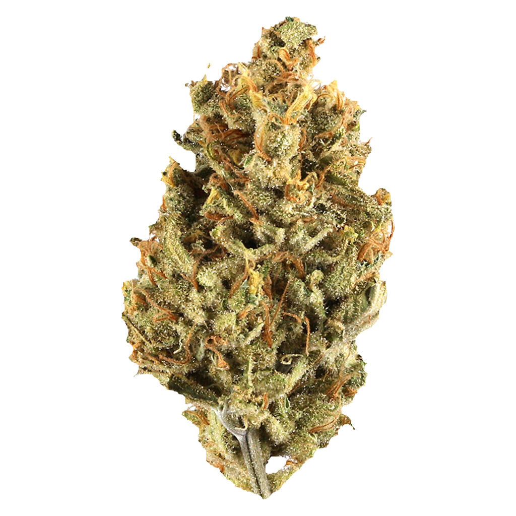 AMBR GRAPE CAKE (IND) DRIED - 7G