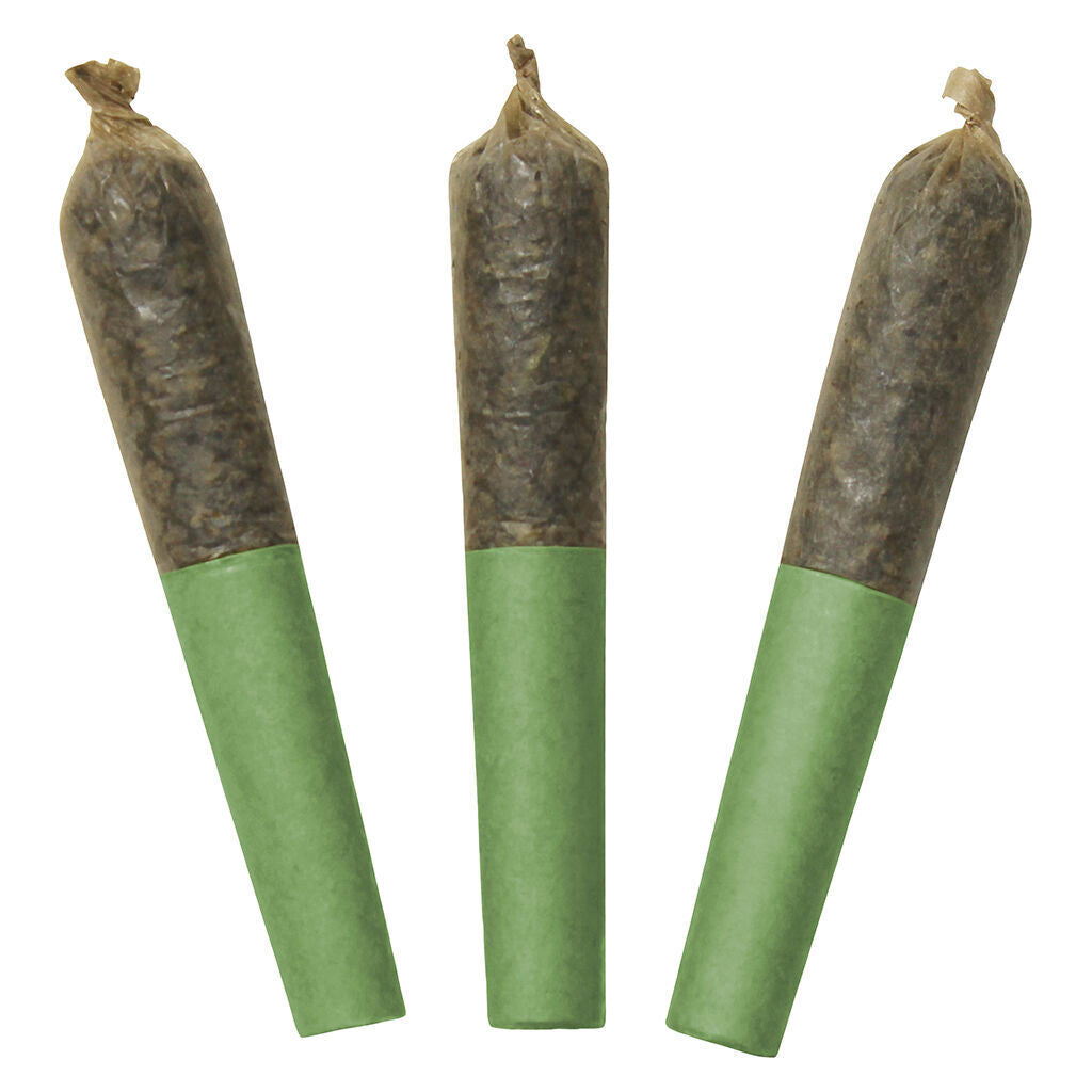 DAB BODS 60S TROPICAL BURST DBL (H) INF PRE-ROLL - 0.5G X 3