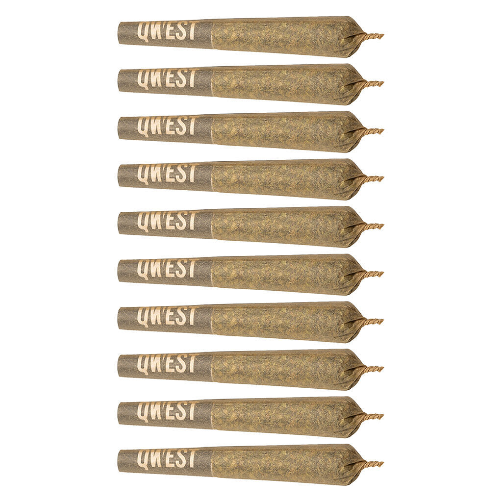 QWEST 35S MORNING SUN (IND) PRE-ROLL - 0.35G X 10