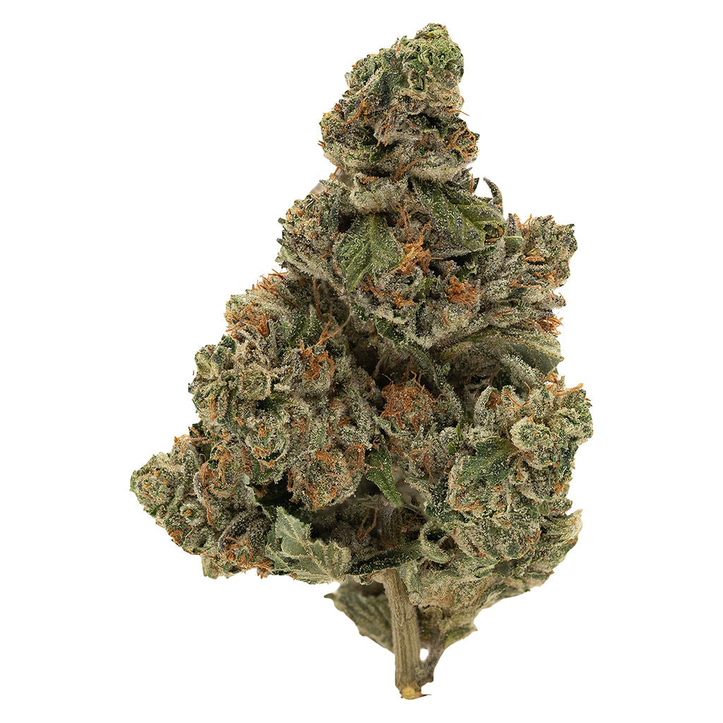 SIMPLY BARE BC ORGANIC KRAKEN (IND) DRIED - 3.5G