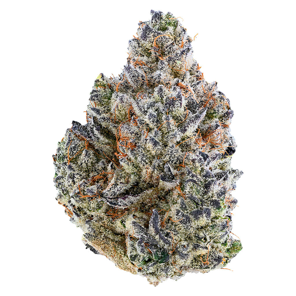 TRIBAL BUBBLE UP (IND) DRIED - 3.5G