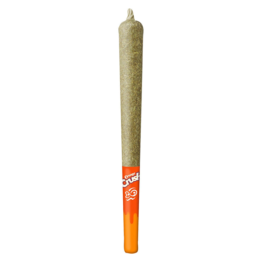 DISCOFSH ORANGE CRUSH 44S (S) INF PRE-ROLL - 0.4G X 4