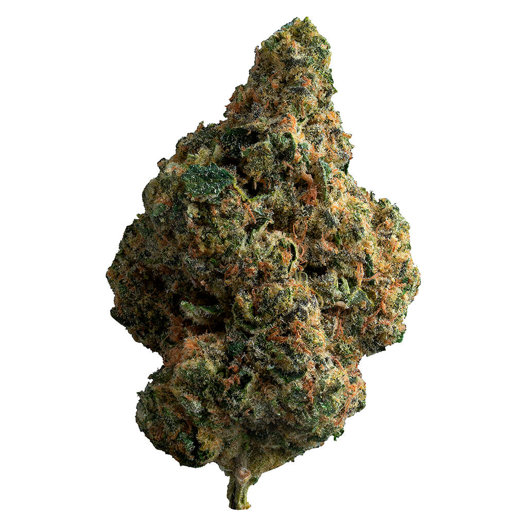 THE LOUD PLUG LA POP STAR (IND) DRIED - 28G