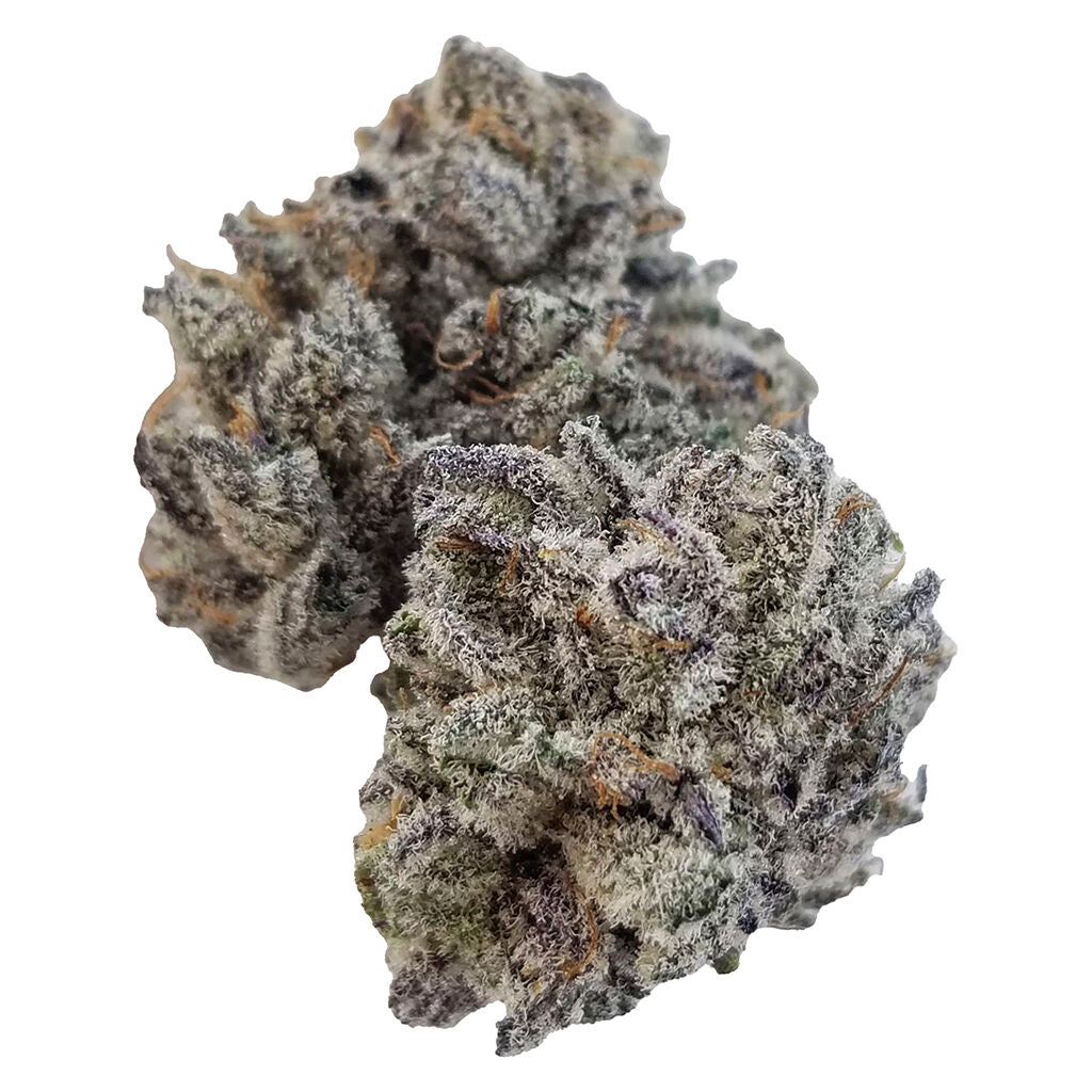 SHEEESH JUNGLE KUSH (IND) DRIED - 3.5G