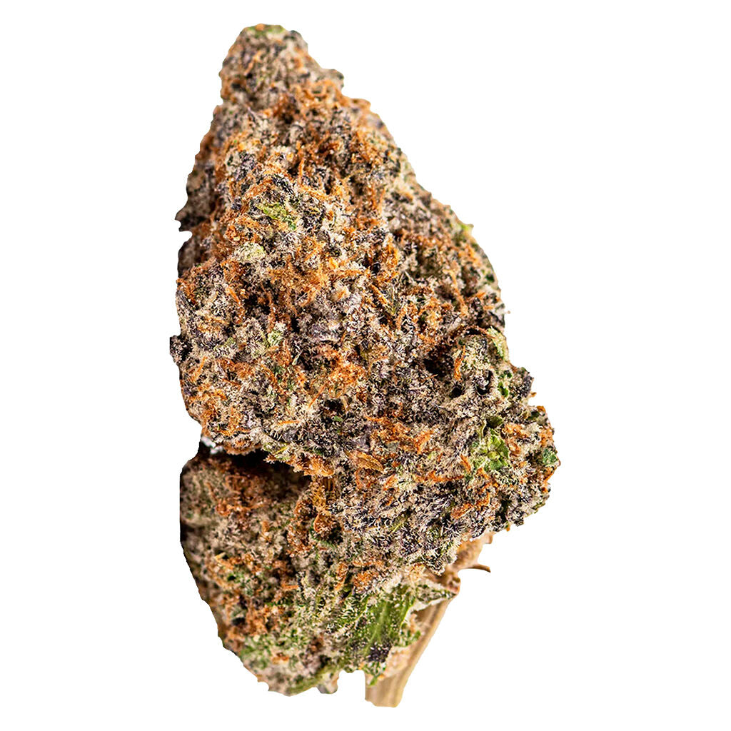 SHEEESH DIA DE LOS MUERTOS (IND) DRIED - 7G