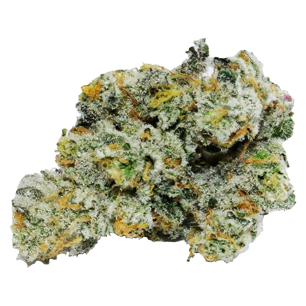 VOLO MELTS (IND) DRIED - 3.5G