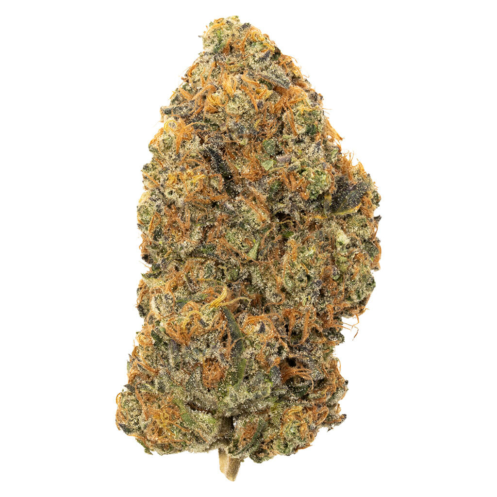 ODDBALL GAS (H) DRIED - 7G