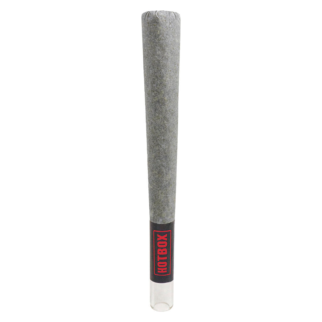 BOXHOT FATTIES LEMONBERRY KUSH BLUNT (IND) INF PRE-ROLL 1GX1