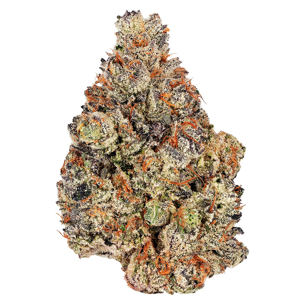 BROKEN COAST HOLY GRAIL KUSH (H) DRIED - 28G