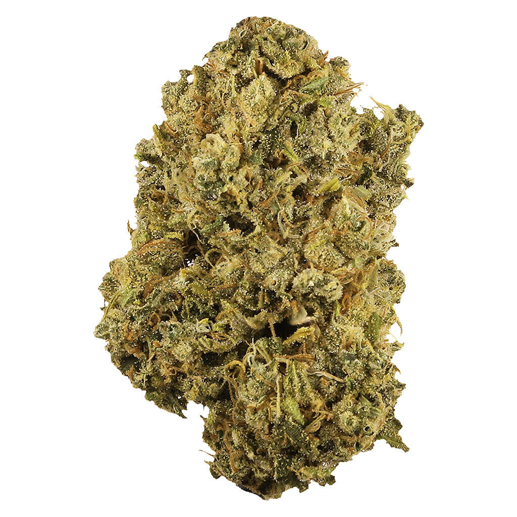 PAPAS HERB DURBAN POISON (S) DRIED - 14G