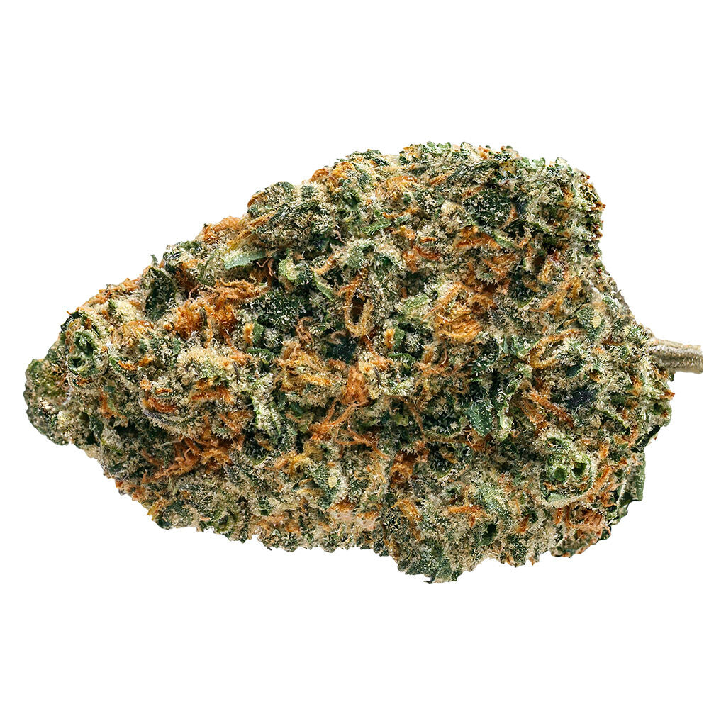 SOAR BISCOTTI SQUEEZE (S) DRIED - 7G