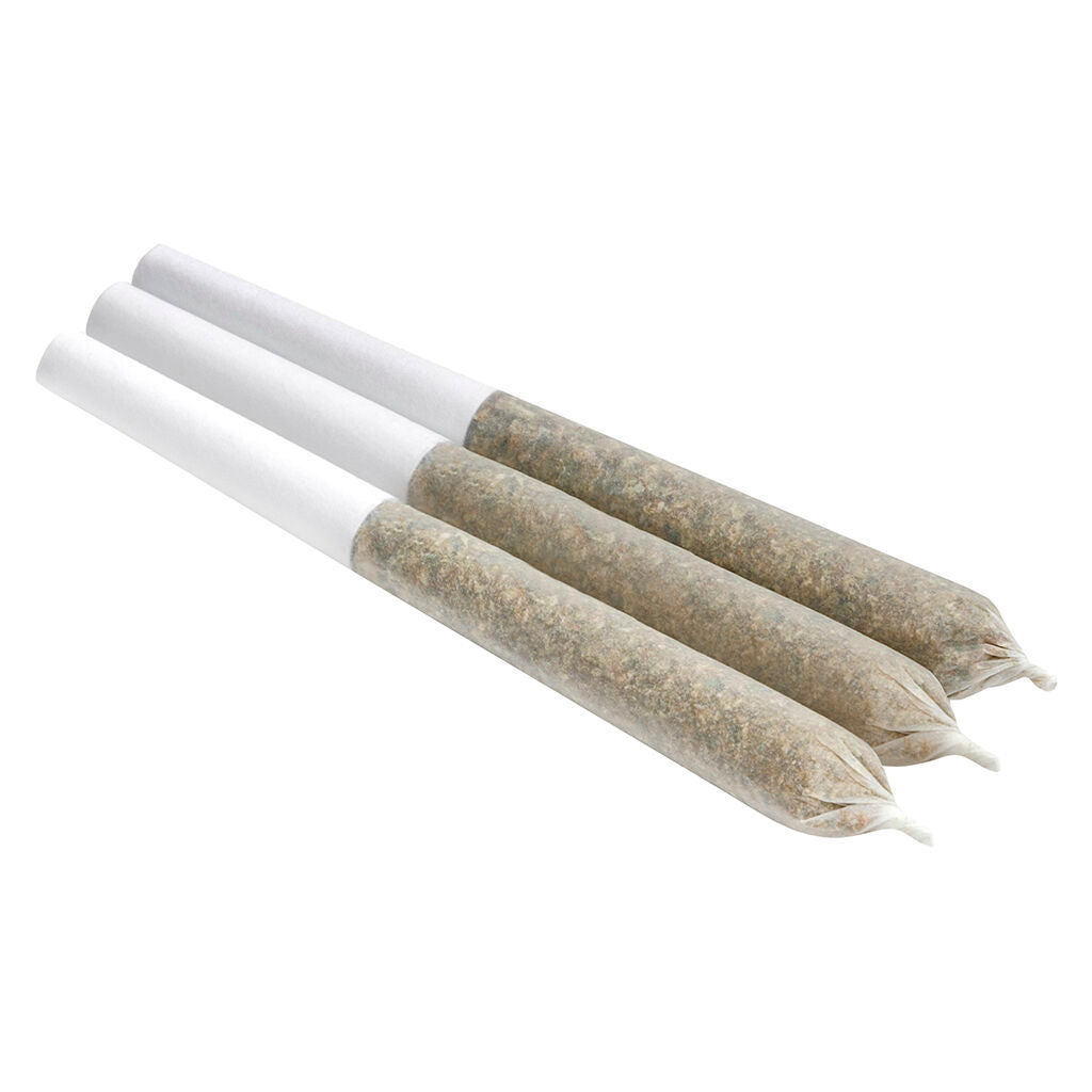 SOAR BISCOTTI SQUEEZE (S) PRE-ROLL - 0.5G X 3