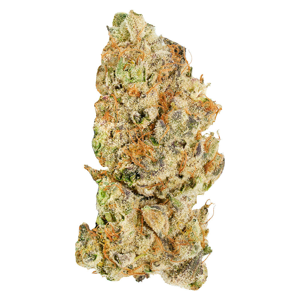 BROKEN COAST PLATINUM PAVE (IND) DRIED - 7G