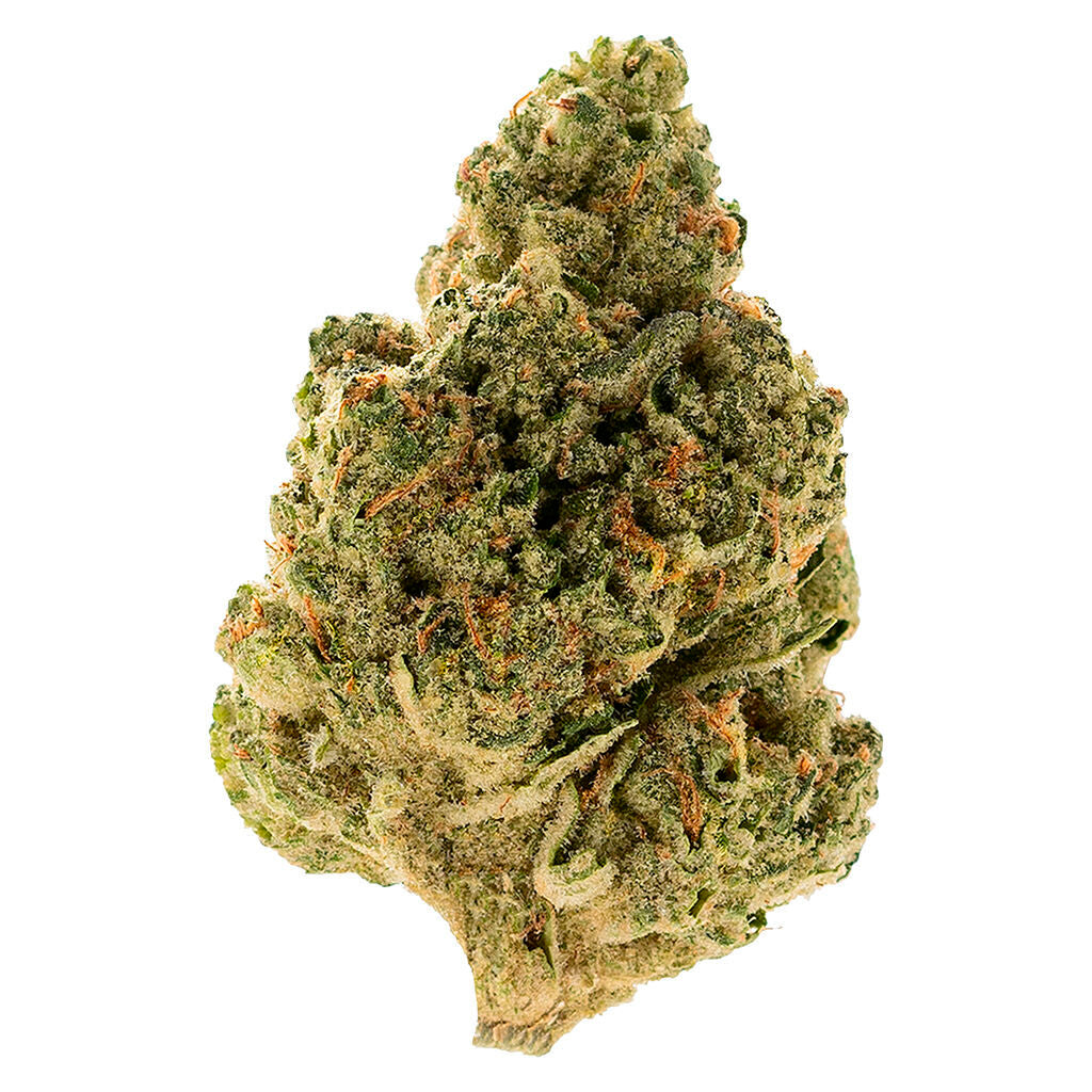 OMY GRAVITY COOKIES (IND) DRIED - 28G