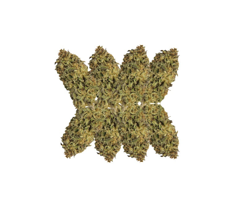 SHEEESH JUNGLE KUSH (IND) DRIED - 28G