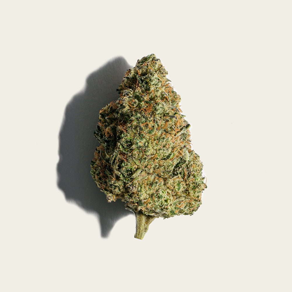 PURE SUNFARMS NEON LAMBO (IND) DRIED - 7G