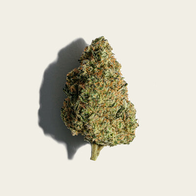 PURE SUNFARMS NEON LAMBO (IND) DRIED - 7G