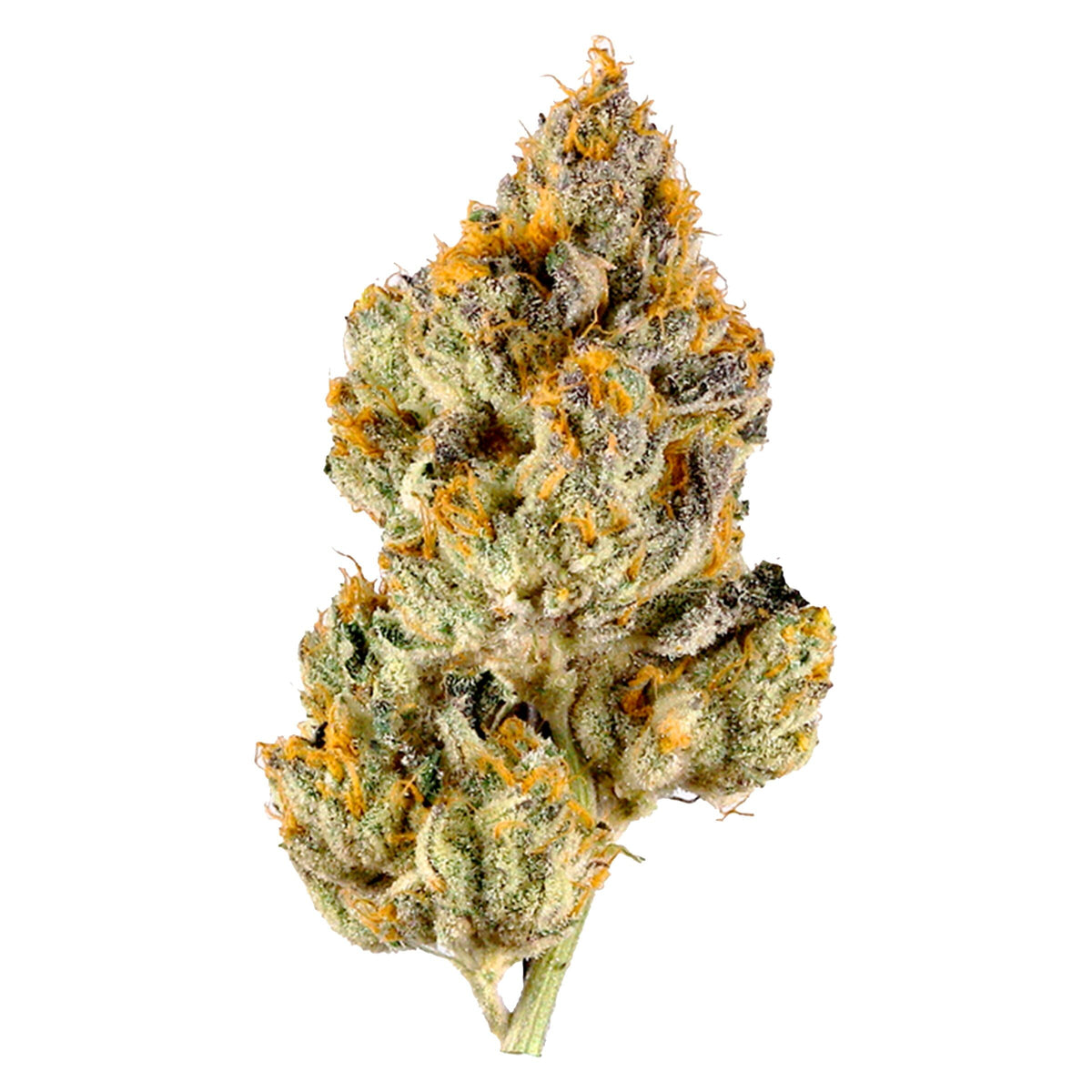 3SAINTS SPACEWALKER OG (H) DRIED - 1G