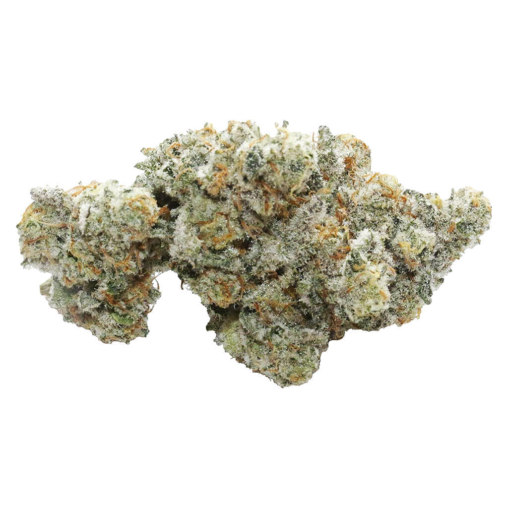 VOLO COMMANDO (IND) DRIED - 7G