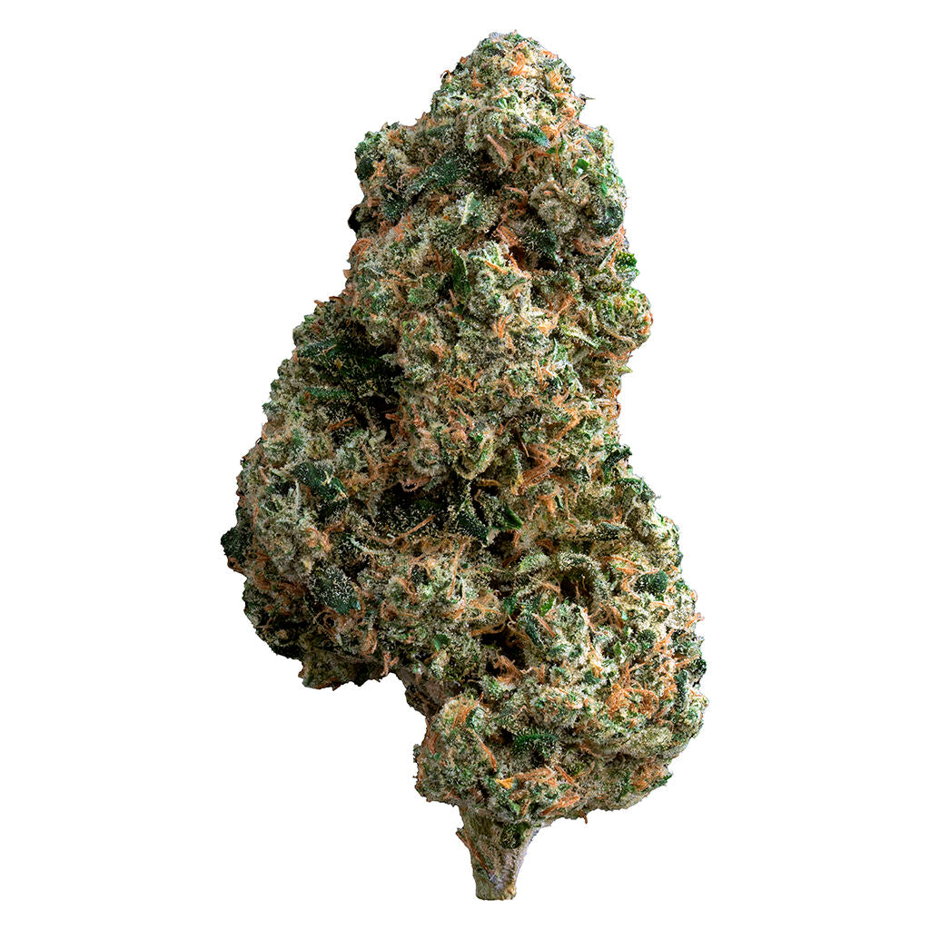 7ACRES CROSSBOW (IND) DRIED - 7G