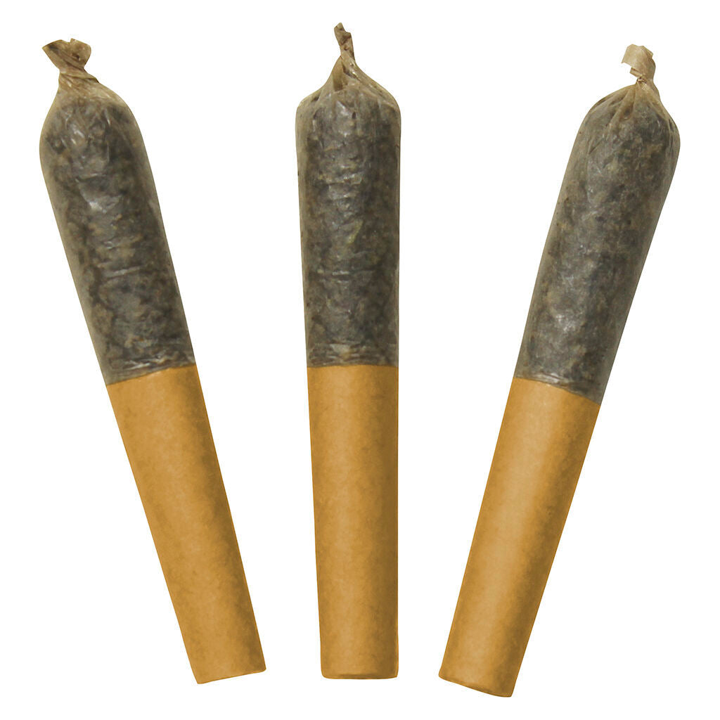 DAB BODS 60S WATERMELON MOJO DBL (H) INF PRE-ROLL 0.5G X 3