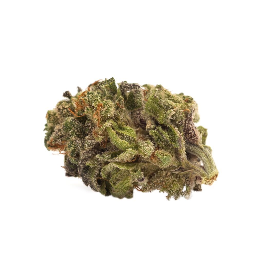 TWD. TROPICAL HAZY DAZE (S) MILLED - 7G