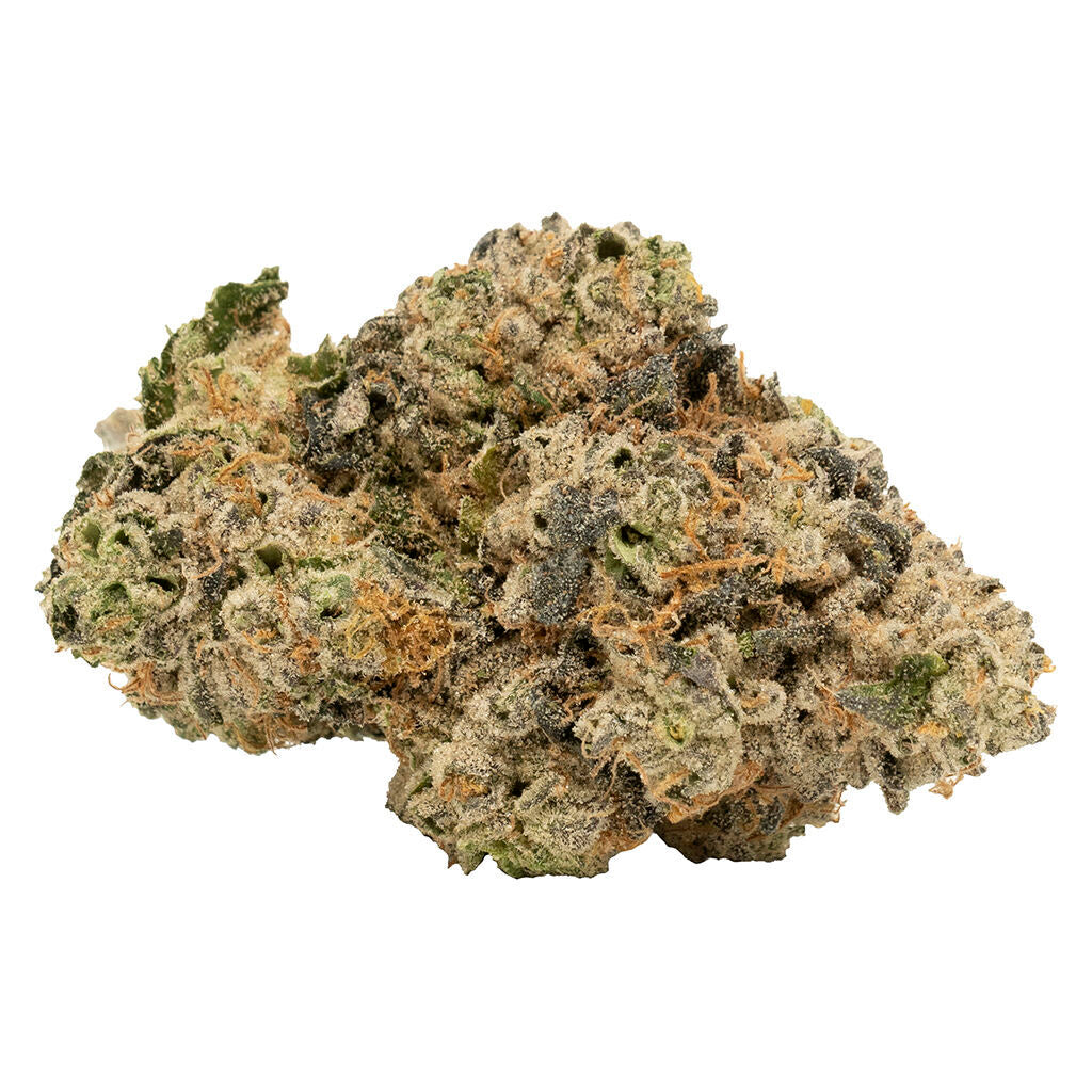 DOJA BEACH CRASHER (S) DRIED - 14G