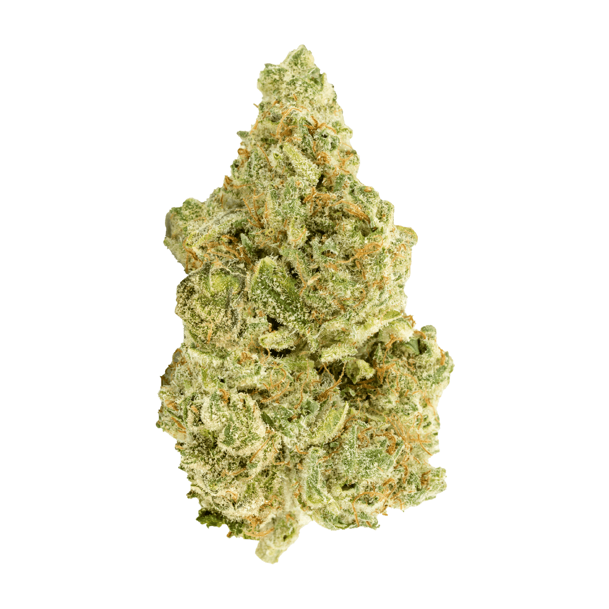 VERSUS WHITE WIDOW (S) DRIED - 7G