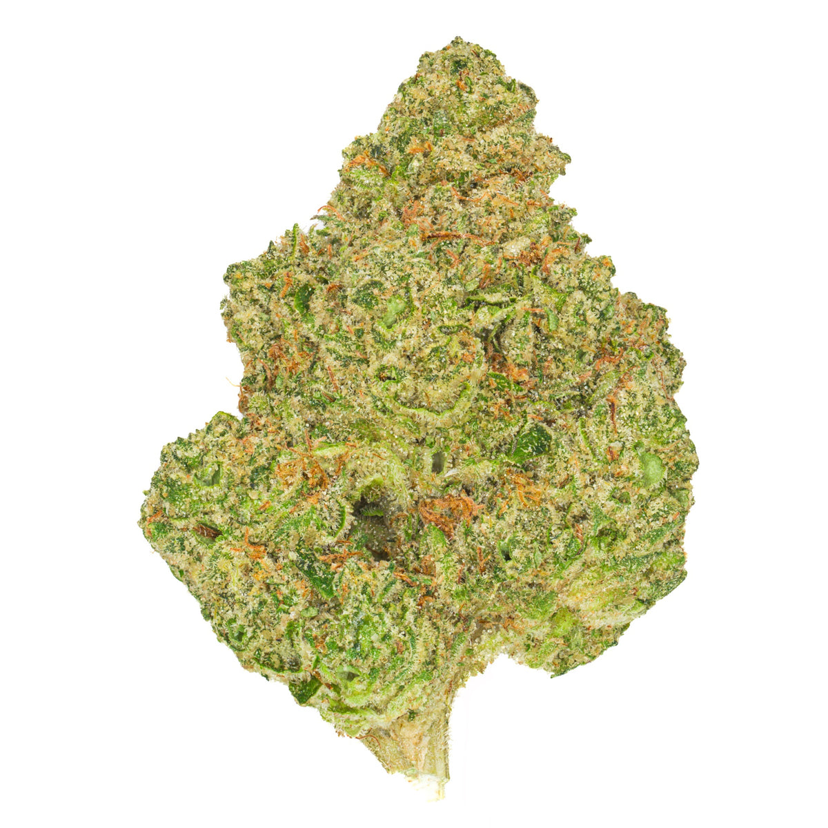 SAN RAF SELECT ANIMAL CONTROL (S) DRIED - 3.5G