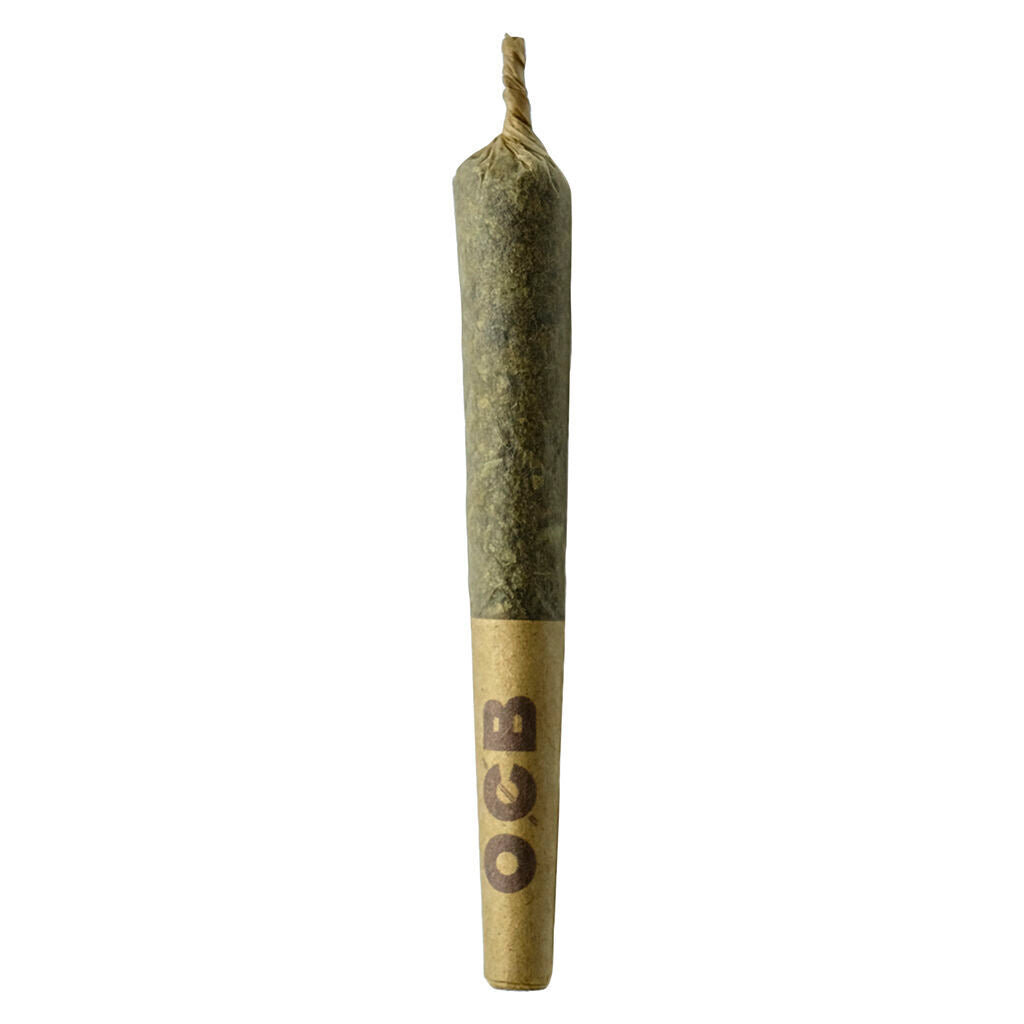 SHEEESH DUBB BUBBS CURED RESIN (IND) INF PRE-ROLL - 0.5G X 3