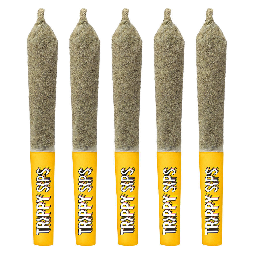 TRIPPY SIPS CARIBBEAN CRUSH KEIF (IND) INF PRE-ROLL 0.5G X 5