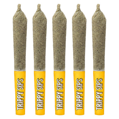 TRIPPY SIPS CARIBBEAN CRUSH KEIF (IND) INF PRE-ROLL 0.5G X 5