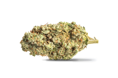 FRASER VALLEY BLACK SHERB (IND) DRIED - 14G