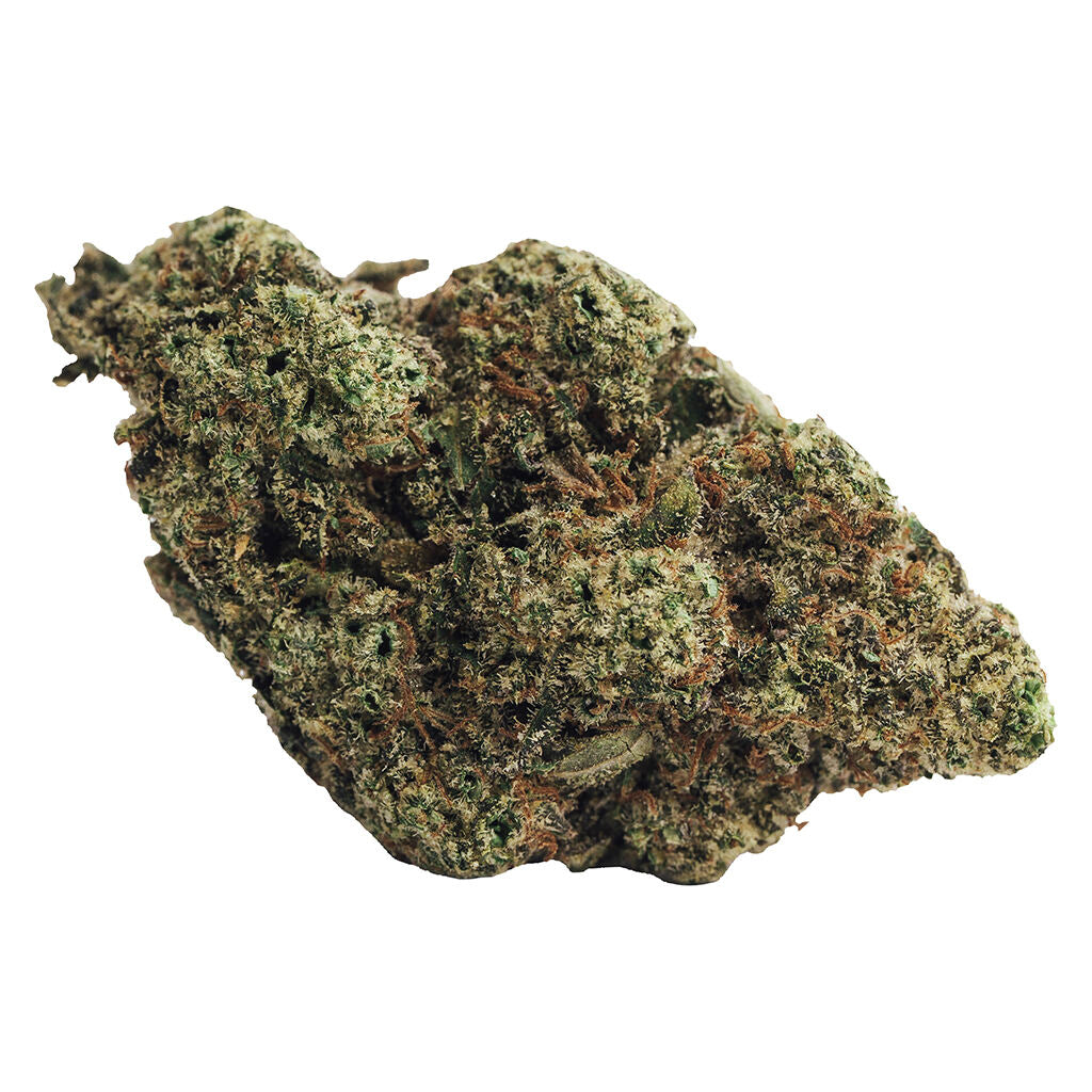 BOLD MUNYUNZ (H) DRIED - 3.5G