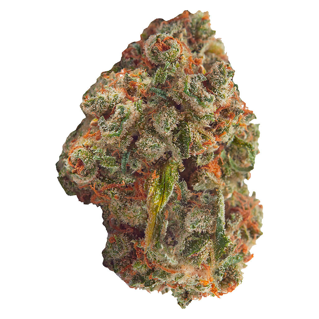 CONTRABAND SOMARI (IND) DRIED - 28G