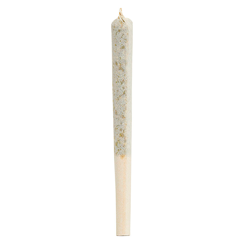 1964 COMATOSE (IND) PRE-ROLL - 0.5G X 5
